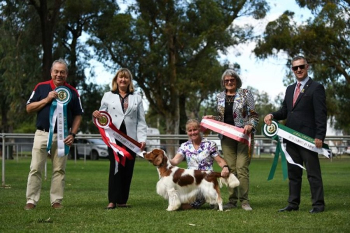 Moree Kennel Club and New England Ladies Kennel Club  All Breeds Championship Shows