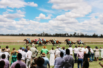 Gunnedah Jockey Club Races