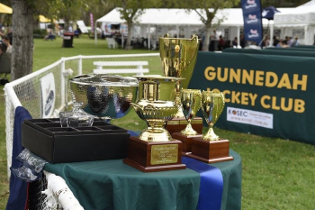 Gunnedah Jockey Club's Gold Cup Race Meeting 